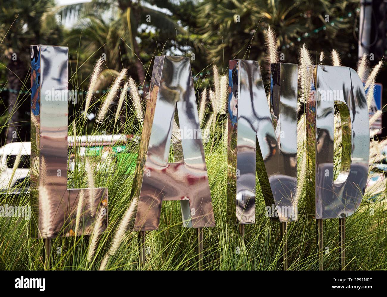 Texte 3D Inscrivez-vous dans l'herbe : la terre. Grand miroir argent lettres contre le champ vert et arbres Banque D'Images