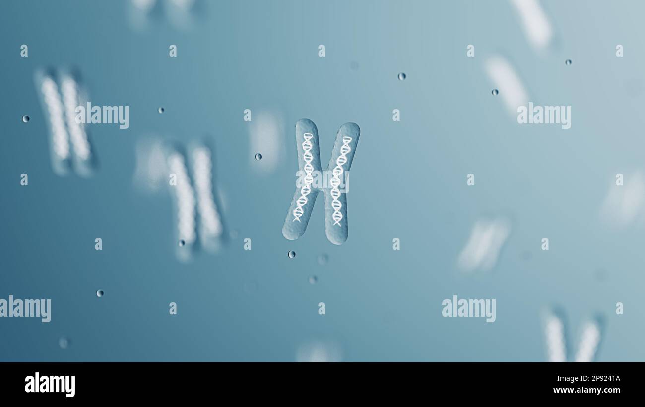 Chromosomes X avec hélice d'ADN à l'intérieur sous microscope. Chromosome humain. 3D rendu Banque D'Images