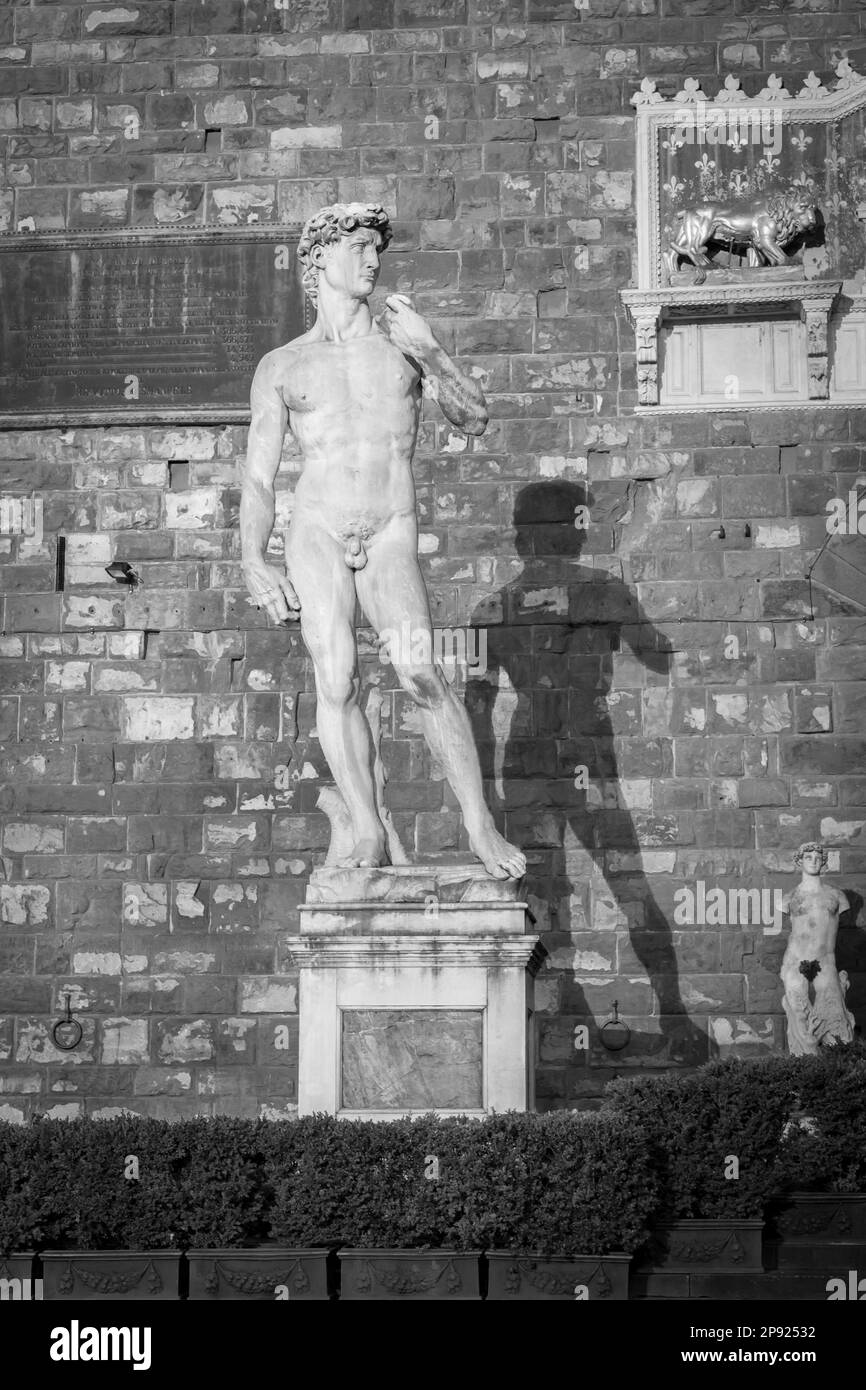 David de Michel-Ange Buonarroti à Florence, Italie. Célèbre chef-d'œuvre de la perfection masculine Banque D'Images