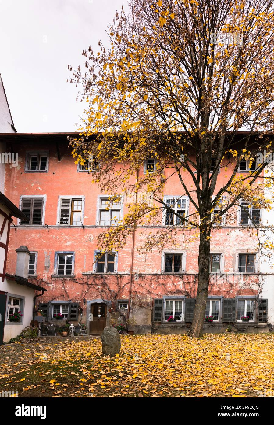 Cour avec ancienne façade de maison rustique dans l'architecture typique du nord-est suisse et arbre de couleur d'automne et feuilles en premier plan dans l'idyllique Banque D'Images