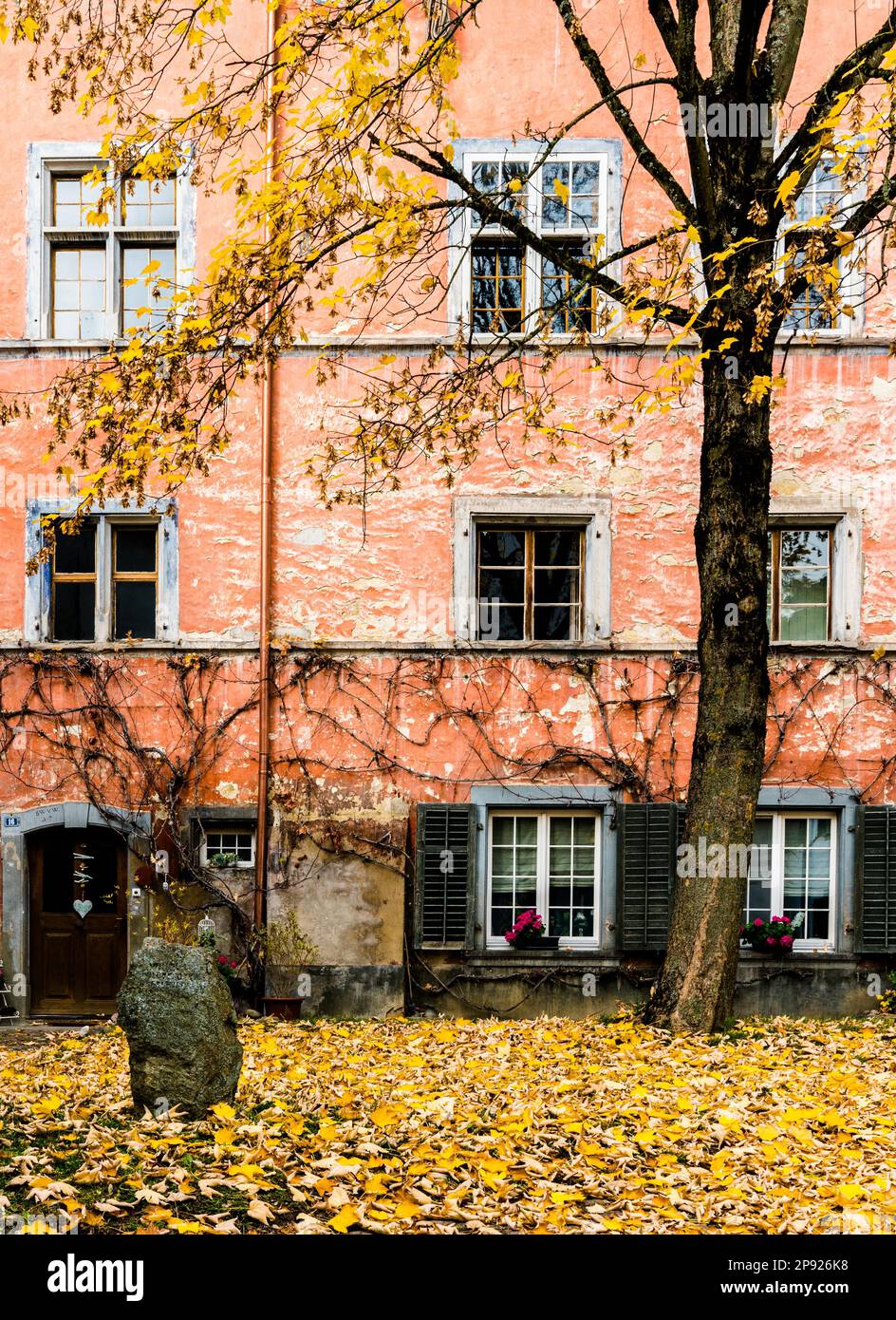 Cour avec ancienne façade de maison rustique dans l'architecture typique du nord-est suisse et arbre de couleur d'automne et feuilles en premier plan dans l'idyllique Banque D'Images