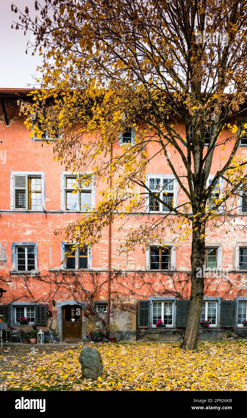 Cour avec ancienne façade de maison rustique dans l'architecture typique du nord-est suisse et arbre de couleur d'automne et feuilles en premier plan dans l'idyllique Banque D'Images