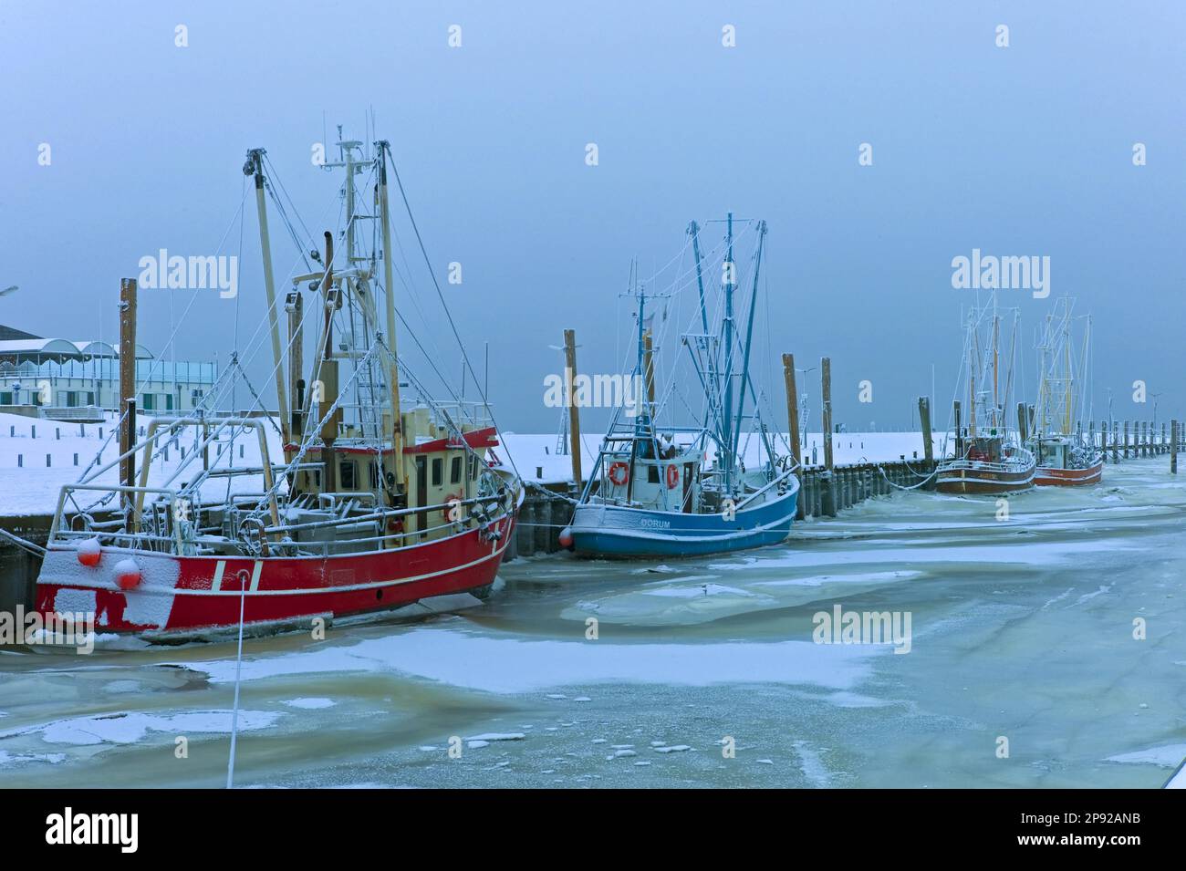 Port de découpe inondé de Dorum Neufeld, district de Cuxhaven, Allemagne Banque D'Images
