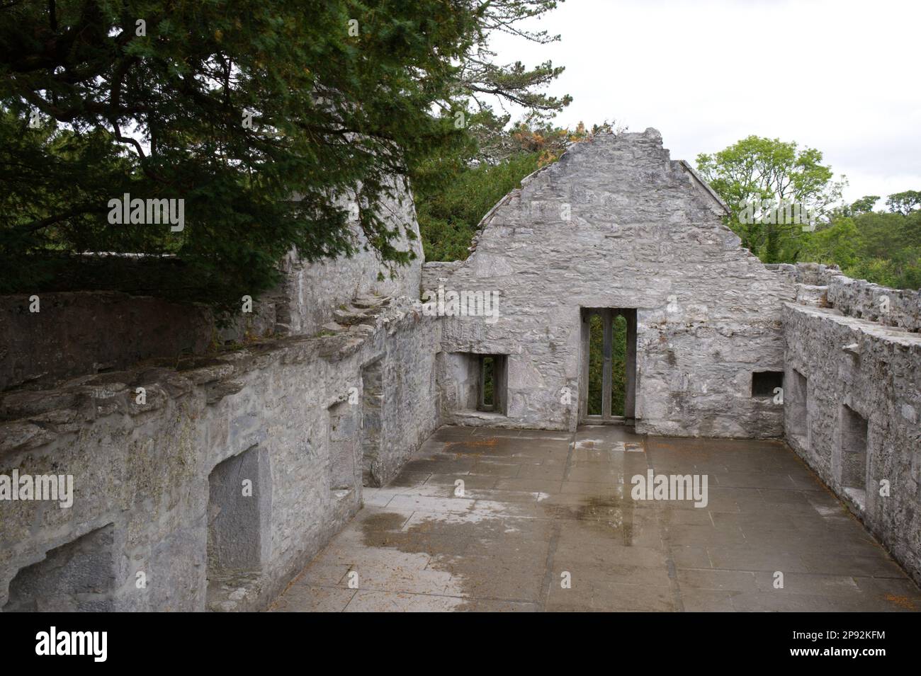 Niveau supérieur des ruines friaires de l'abbaye de Muckross, parc national de Killarney co Kerry EIRE Banque D'Images