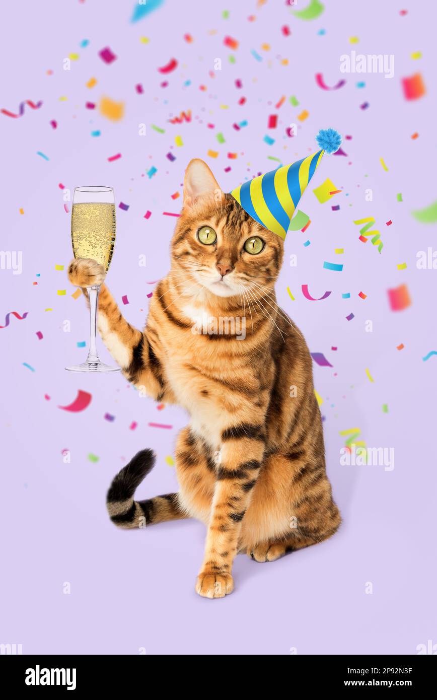 Chat au gingembre avec un verre de champagne sur fond coloré. Fête, fête. Banque D'Images