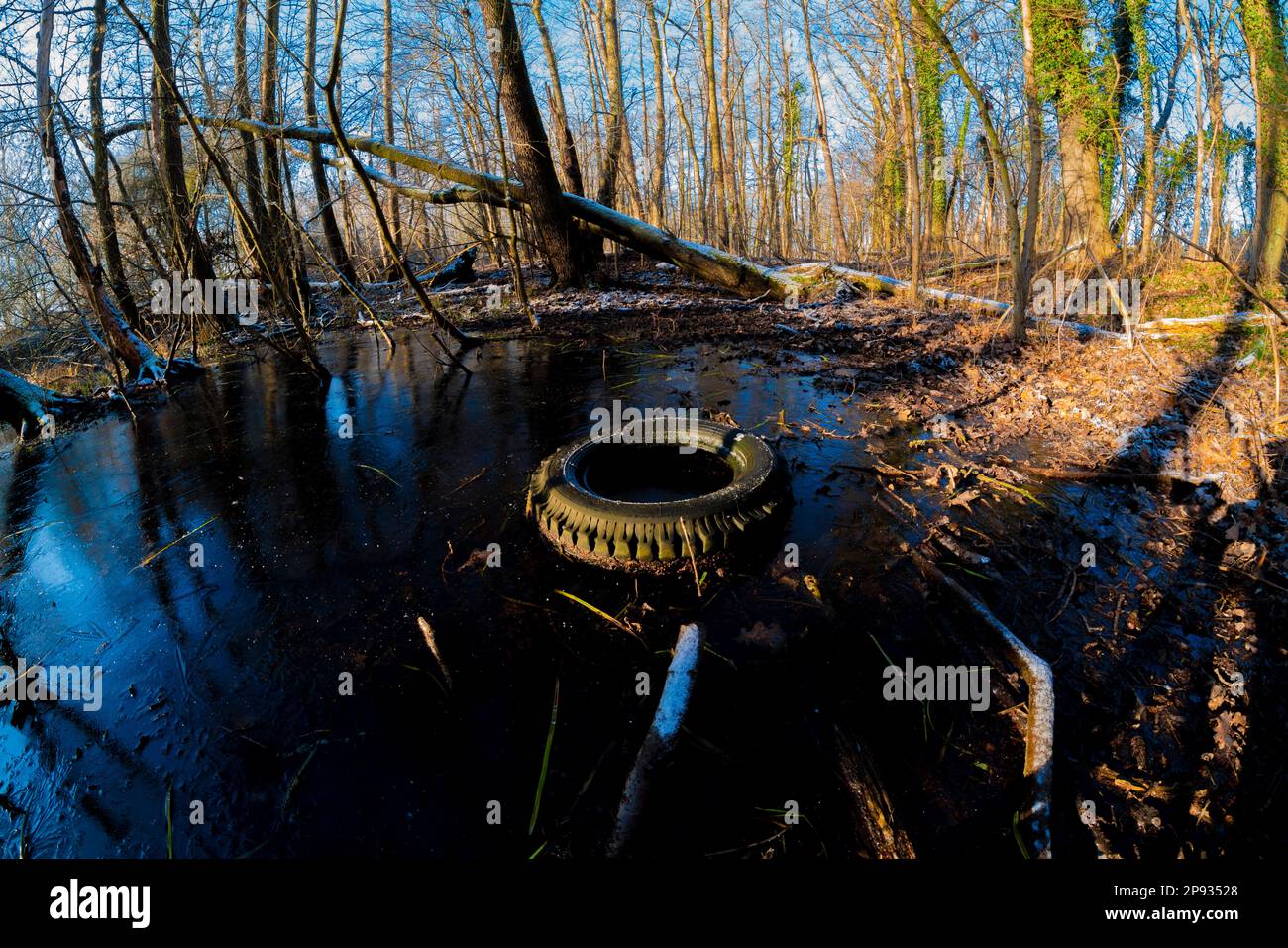 Pneus de camion décorteur illégaux dans un très petit lac forestier, pollution, photographiés avec une lentille fisheye Banque D'Images