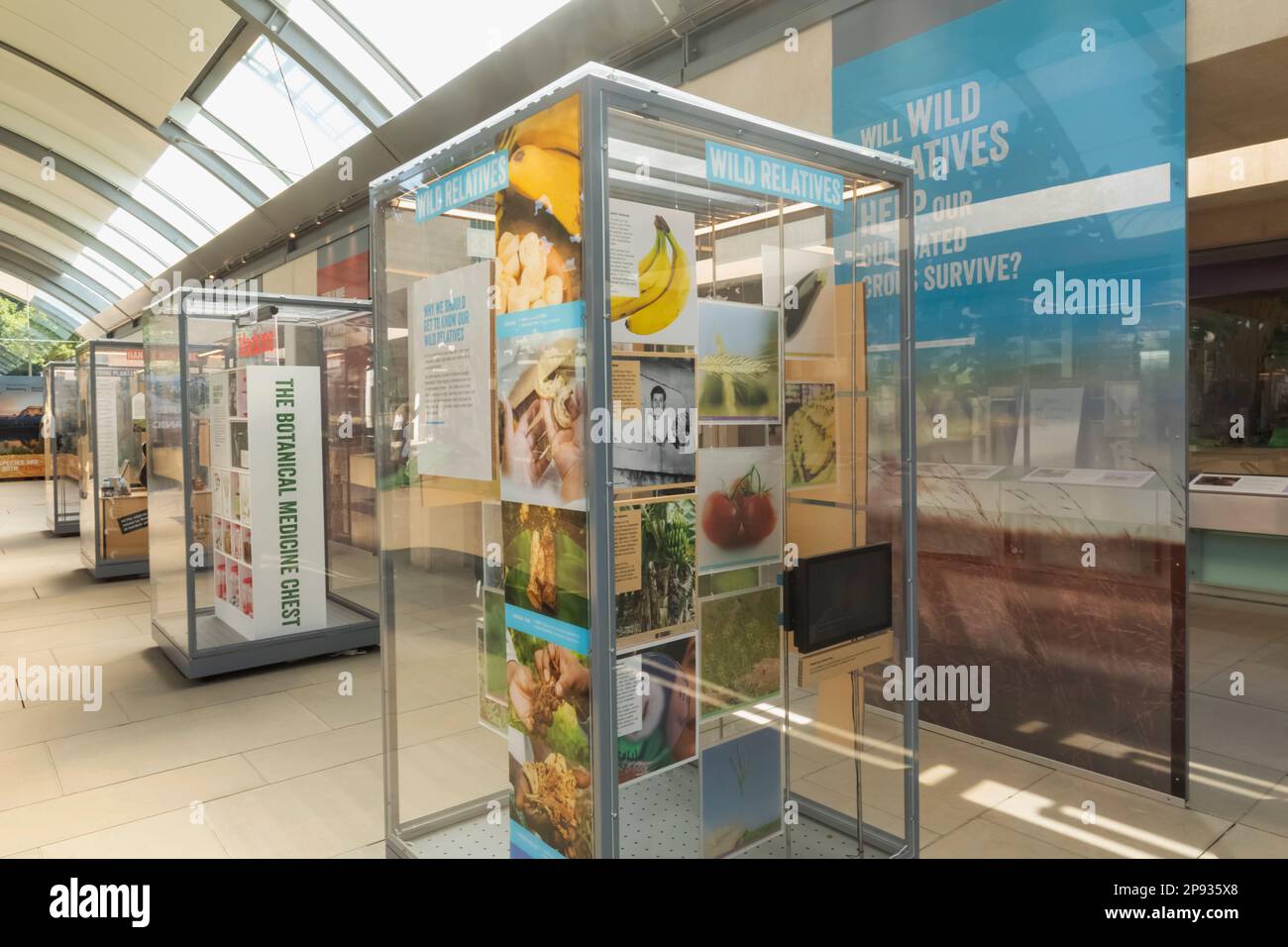 Angleterre, West Sussex, Wakehurst, Millennium Seed Bank, Atrium Exhibition Space Banque D'Images