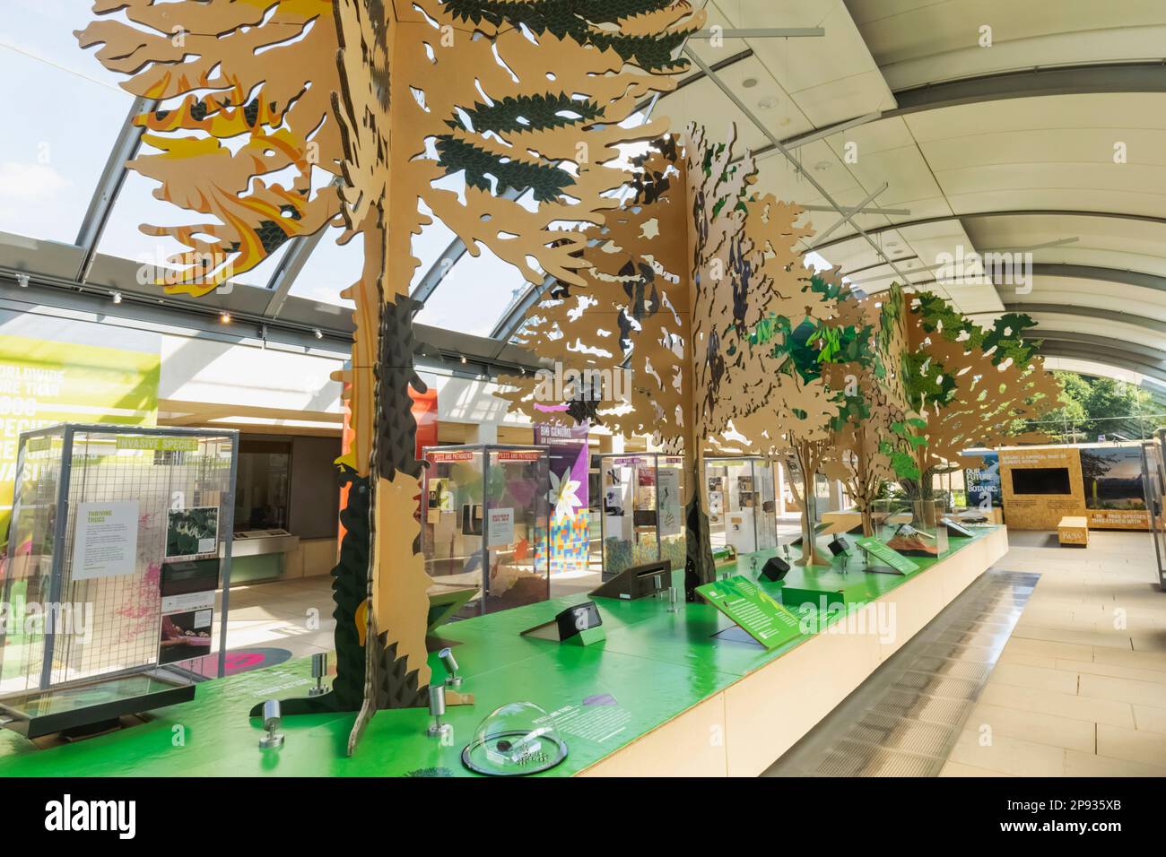 Angleterre, West Sussex, Wakehurst, Millennium Seed Bank, Atrium Exhibition Space Banque D'Images