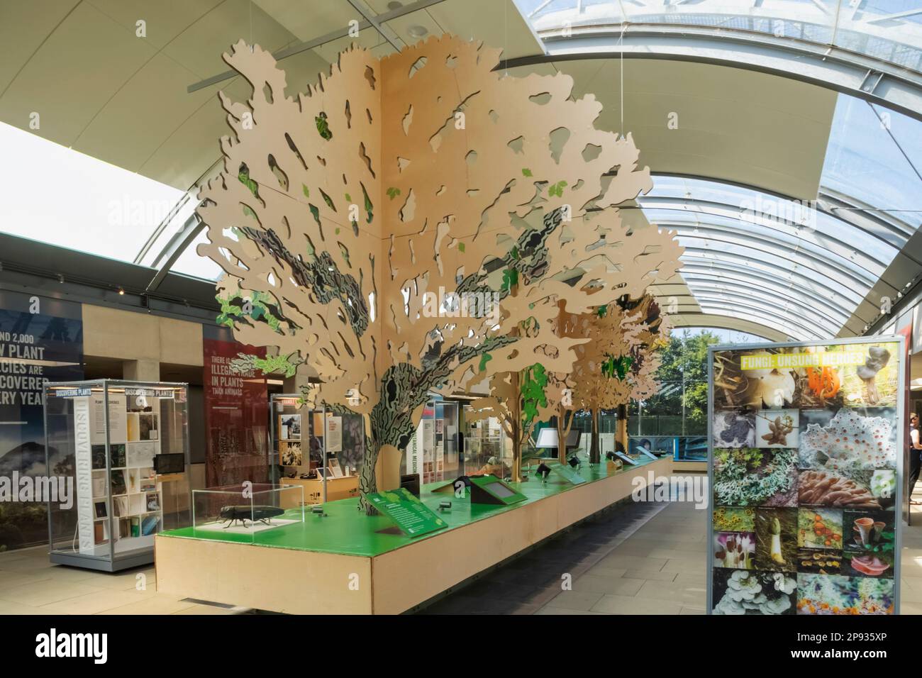 Angleterre, West Sussex, Wakehurst, Millennium Seed Bank, Atrium Exhibition Space Banque D'Images