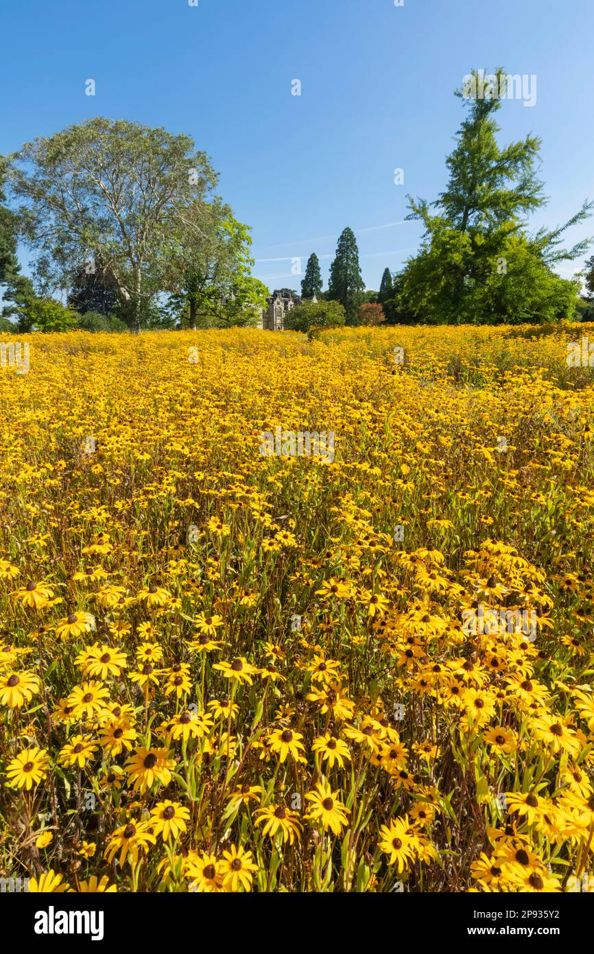 Angleterre, West Sussex, Wakehurst, Wakehurst place House and Gardens Banque D'Images