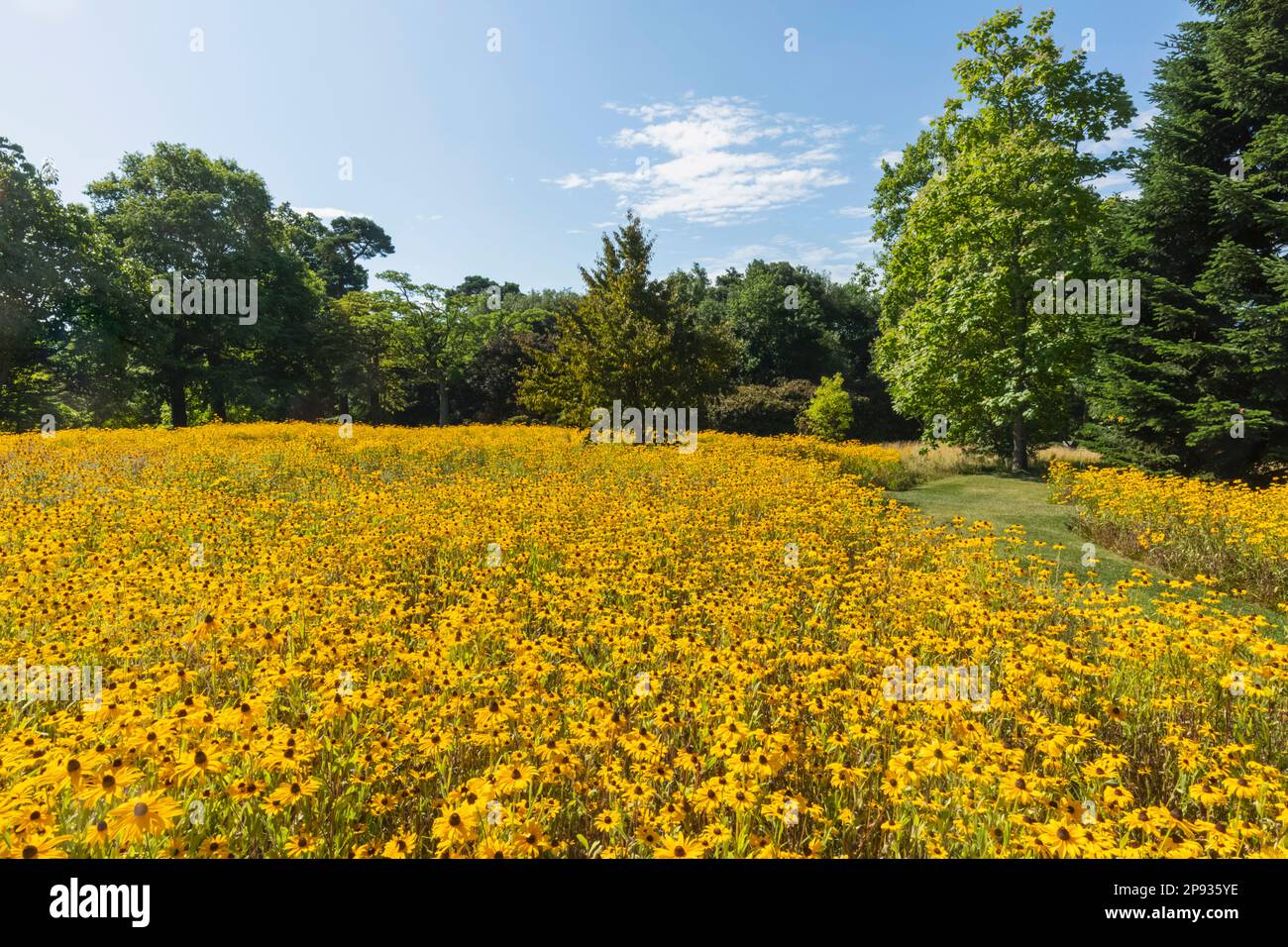 Angleterre, West Sussex, Wakehurst, Wakehurst place House and Gardens Banque D'Images