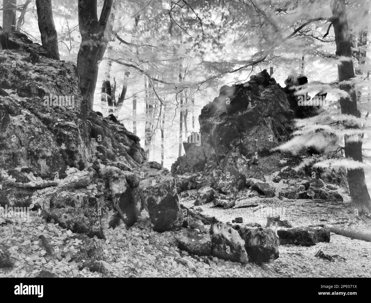 Europe, Allemagne, Hesse, Moyen-Hesse, Parc naturel Lahn-Dill-Bergland, Groupe de rock 'Wilhelmsteine' près de Tringenstein Banque D'Images