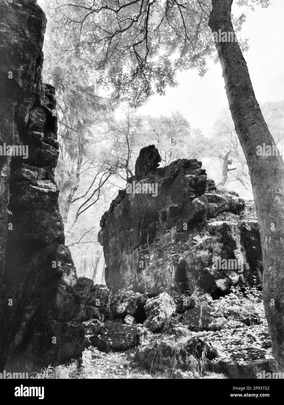 Europe, Allemagne, Hesse, Moyen-Hesse, Parc naturel Lahn-Dill-Bergland, Groupe de rock 'Wilhelmsteine' près de Tringenstein Banque D'Images