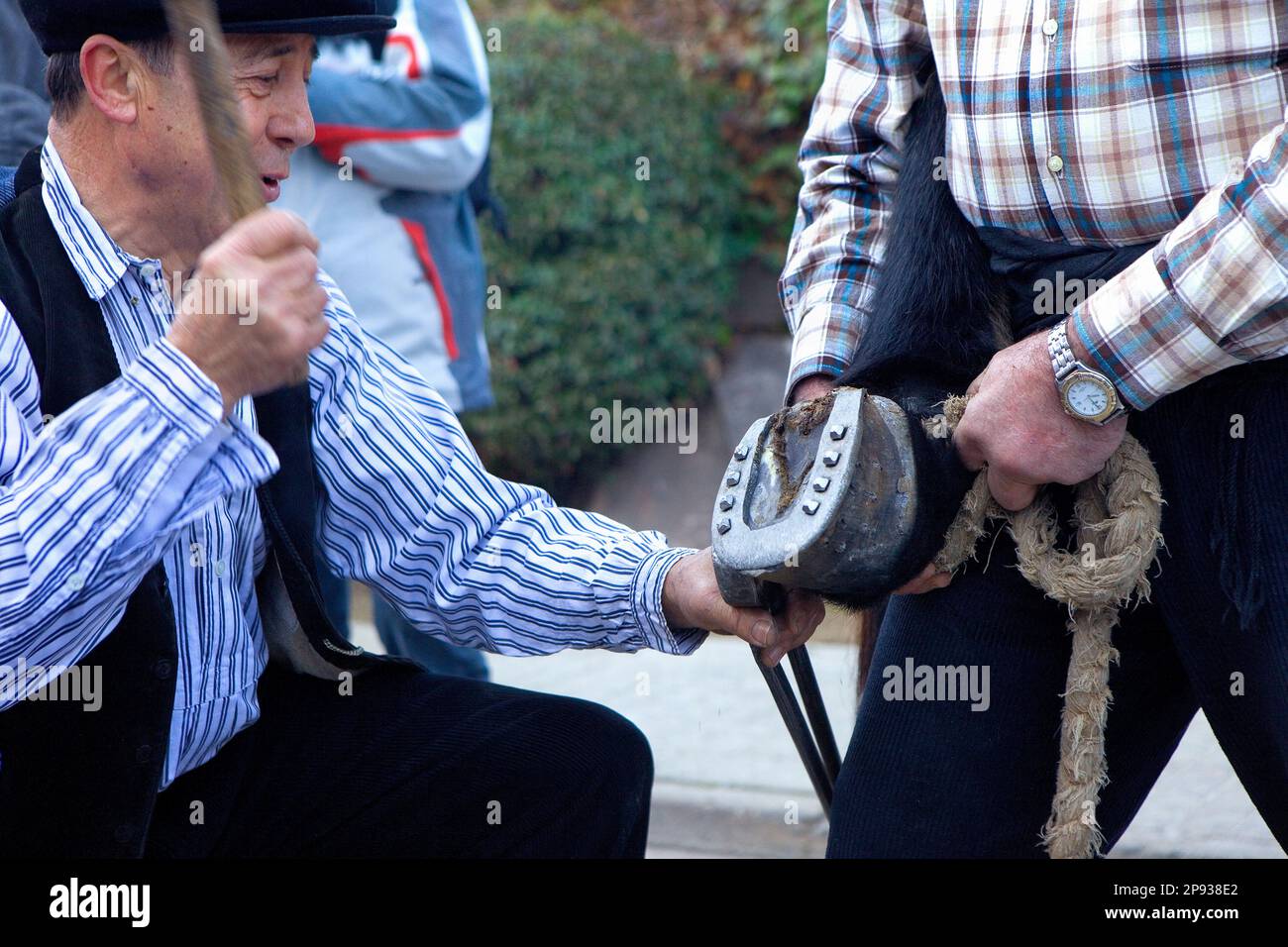 Festa dels Traginers, fête du muleteur à BALSANRENY. De l'arrivée. BALSARENY. Comarca del Bages. Eix del Llobregat, Catalogne, Espagne. Banque D'Images