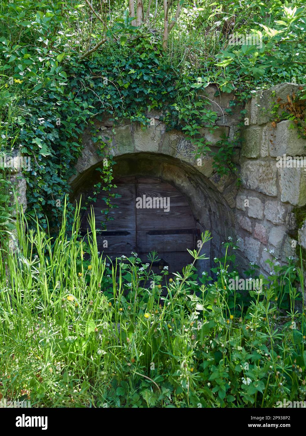 Ancienne cave à vin d'Ebelsberg, municipalité d'Ebelsbach, parc naturel d'Hassberge, comté d'Hassberge, Basse-Franconie, Franconie, Bavière, Allemagne Banque D'Images