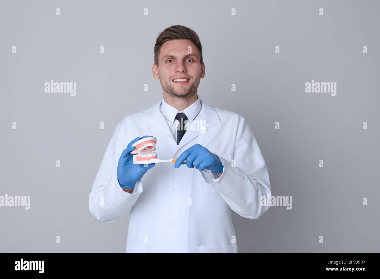 Dentiste avec modèle de mâchoires et brosse à dents sur fond gris clair. Démonstration de soins buccaux Banque D'Images