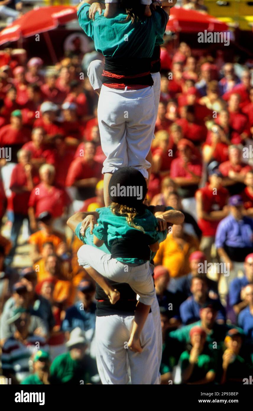 Castellers de Vilafranca.'Castellerss' Building Human Tower, un concours de tradition catalane.Biannual. bullring.Tarragone,Catalogne, Espagne Banque D'Images