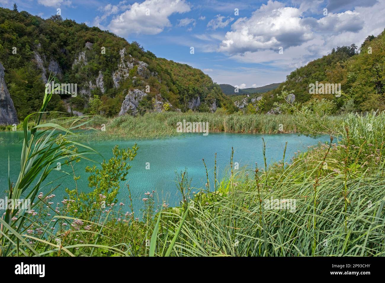 Lac dans le parc national des lacs de Plitvice / Parc de Nacionalni Plitvička jezera dans le comté de Lika-Senj, Croatie Banque D'Images