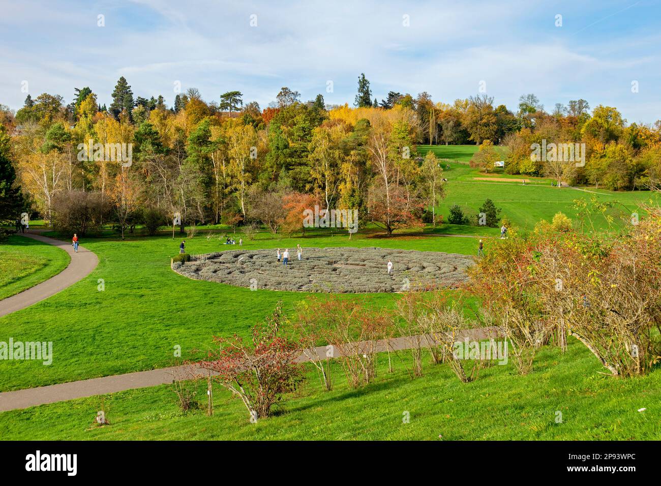 Jardin paysager avec labyrinthe de lavande dans les jardins de Hohenheim du château de Hohenheim, Stuttgart, Bade-Wurtemberg, Allemagne Banque D'Images