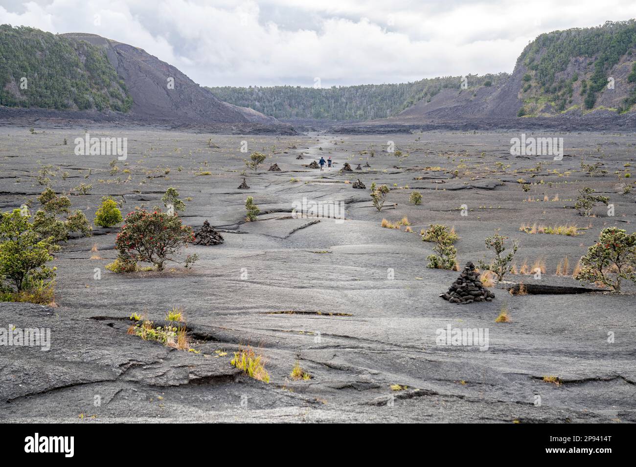 Lac de lave, Kilauea Iki, Parc national des volcans de Hawai'i, Big Island, Hawaï, États-Unis, Polynésie, Océanie Banque D'Images