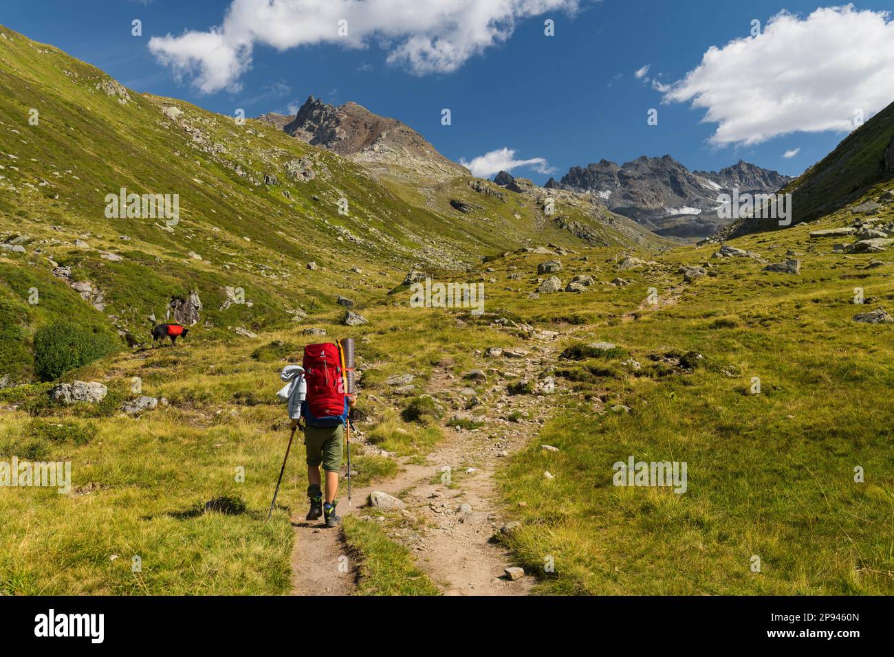 Randonnée enfant à Bieltal, Groupe Silvretta, Tyrol, Autriche Banque D'Images