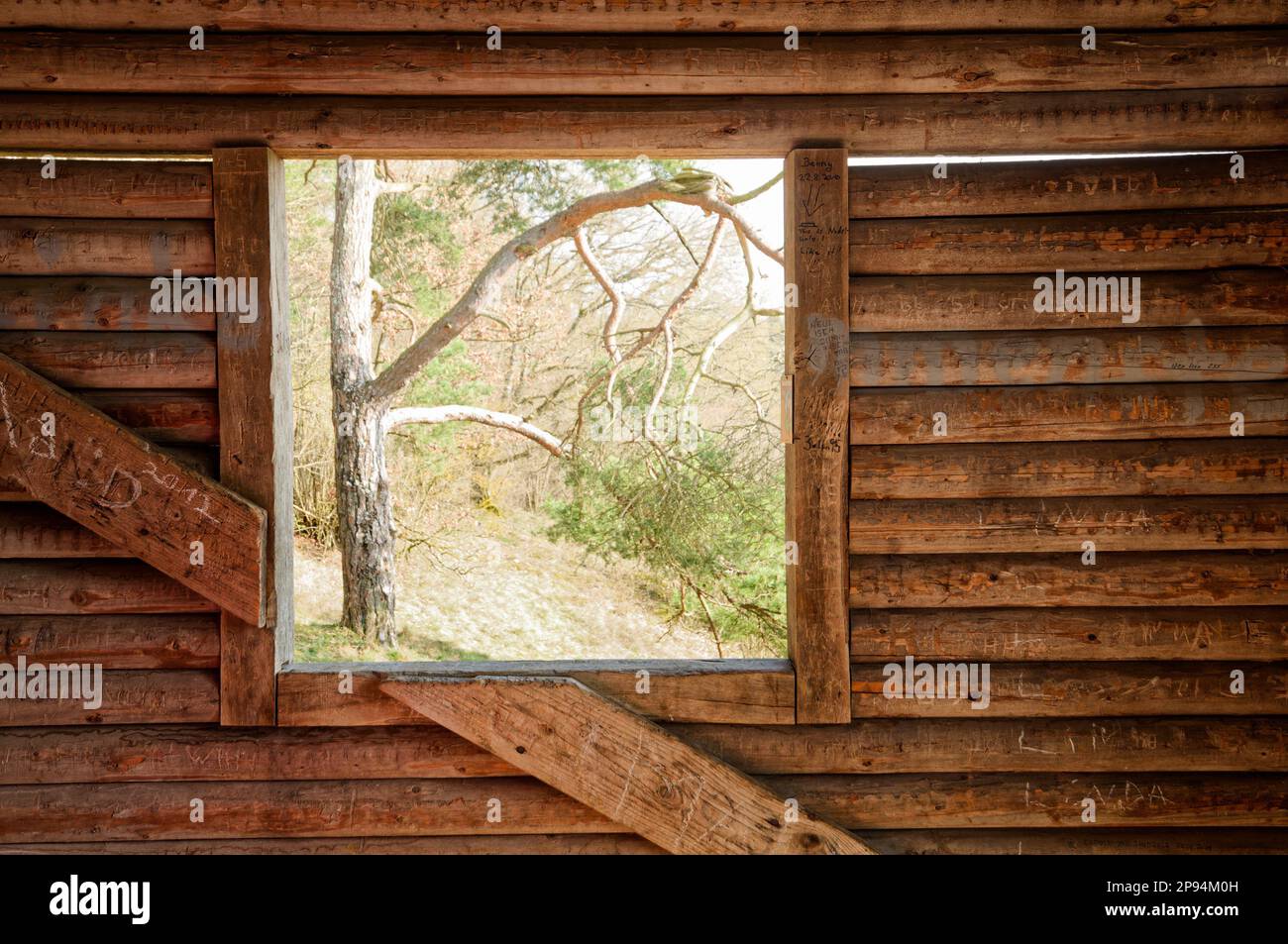 Fenêtre de grange en bois offrant une vue sur un arbre à l'extérieur Banque D'Images