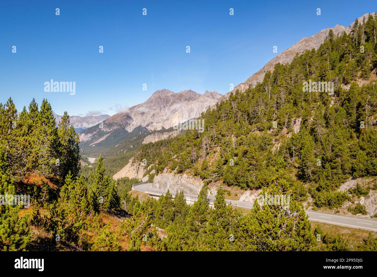 Vue sur le parc national suisse depuis le sommet du col de Fuorn ou Ofen (col dal Fuorn). Il relie Zernez, dans la vallée de l'Engadine, à Val Müstair. Banque D'Images