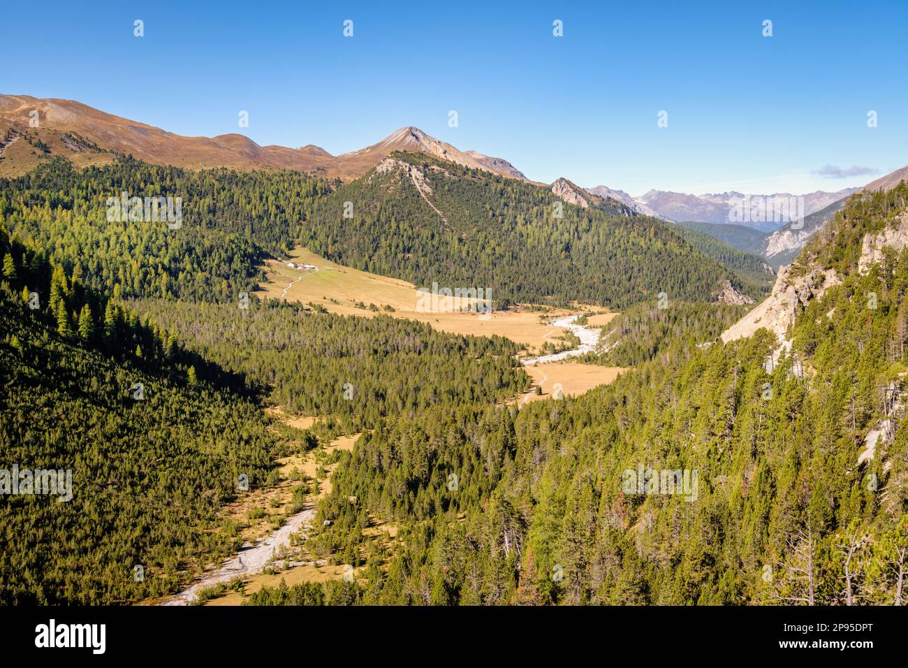 Vue sur le parc national suisse depuis le sommet du col de Fuorn ou Ofen (col dal Fuorn). Il relie Zernez, dans la vallée de l'Engadine, à Val Müstair. Banque D'Images