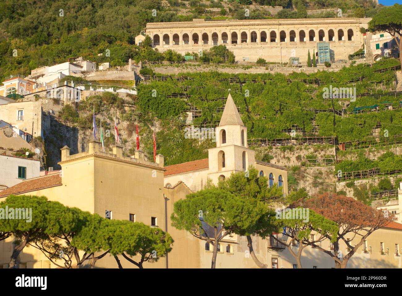 Vue sur les vignobles au-dessus de la ville d'Amalfi. Au-dessus du cimetière d'Amalfi - Belvedere cimitero monumentale ci-dessus, Amalfi, Salerne, Italie côte amalfitaine Banque D'Images