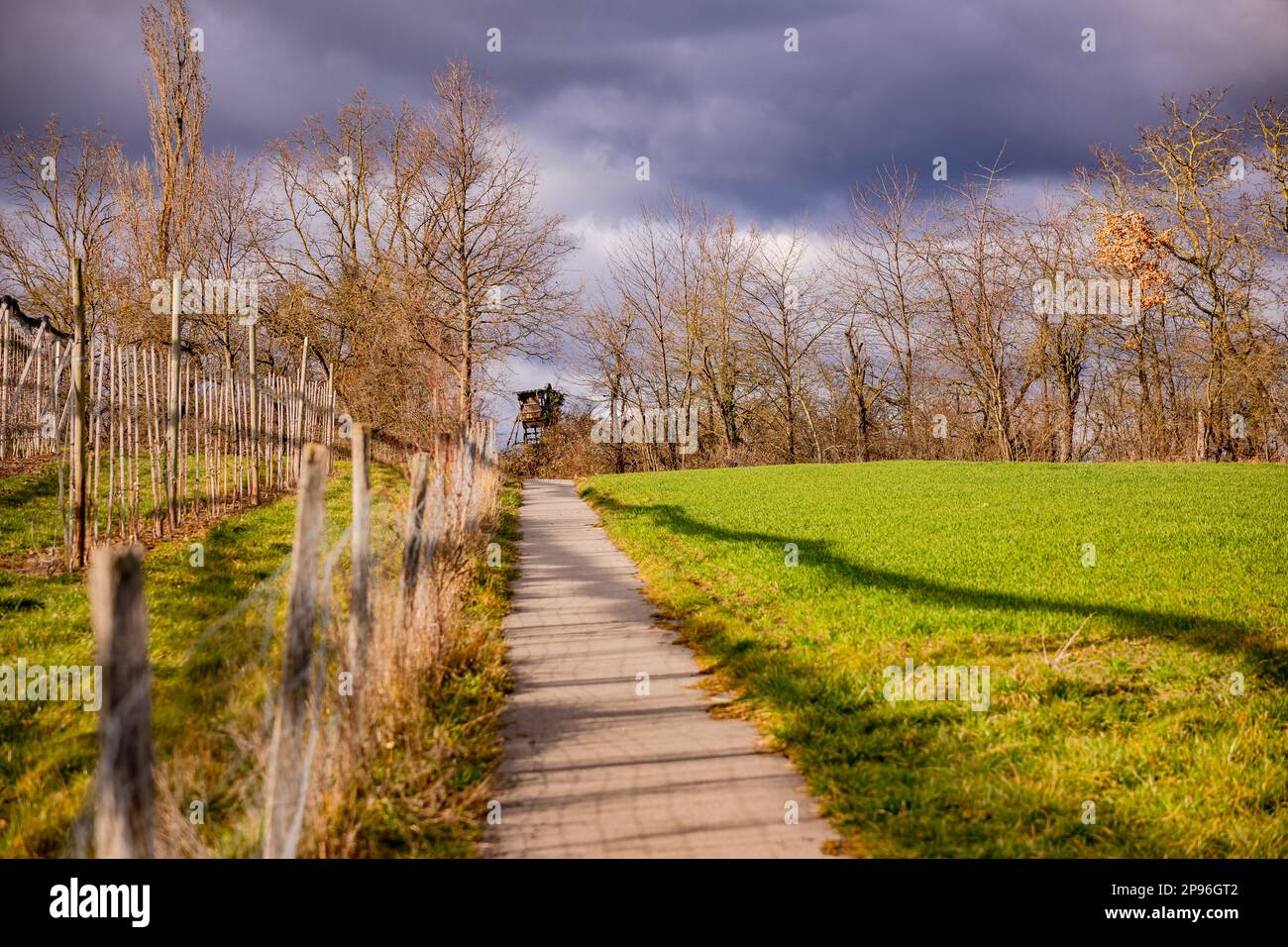 Un sentier près d'une clôture avec prairie et arbres en hiver avec coucher de soleil et nuages spectaculaires Banque D'Images Un sentier près d'une clôture avec prairie et arbres en hiver avec coucher de soleil et nuages spectaculaires Banque D'Images