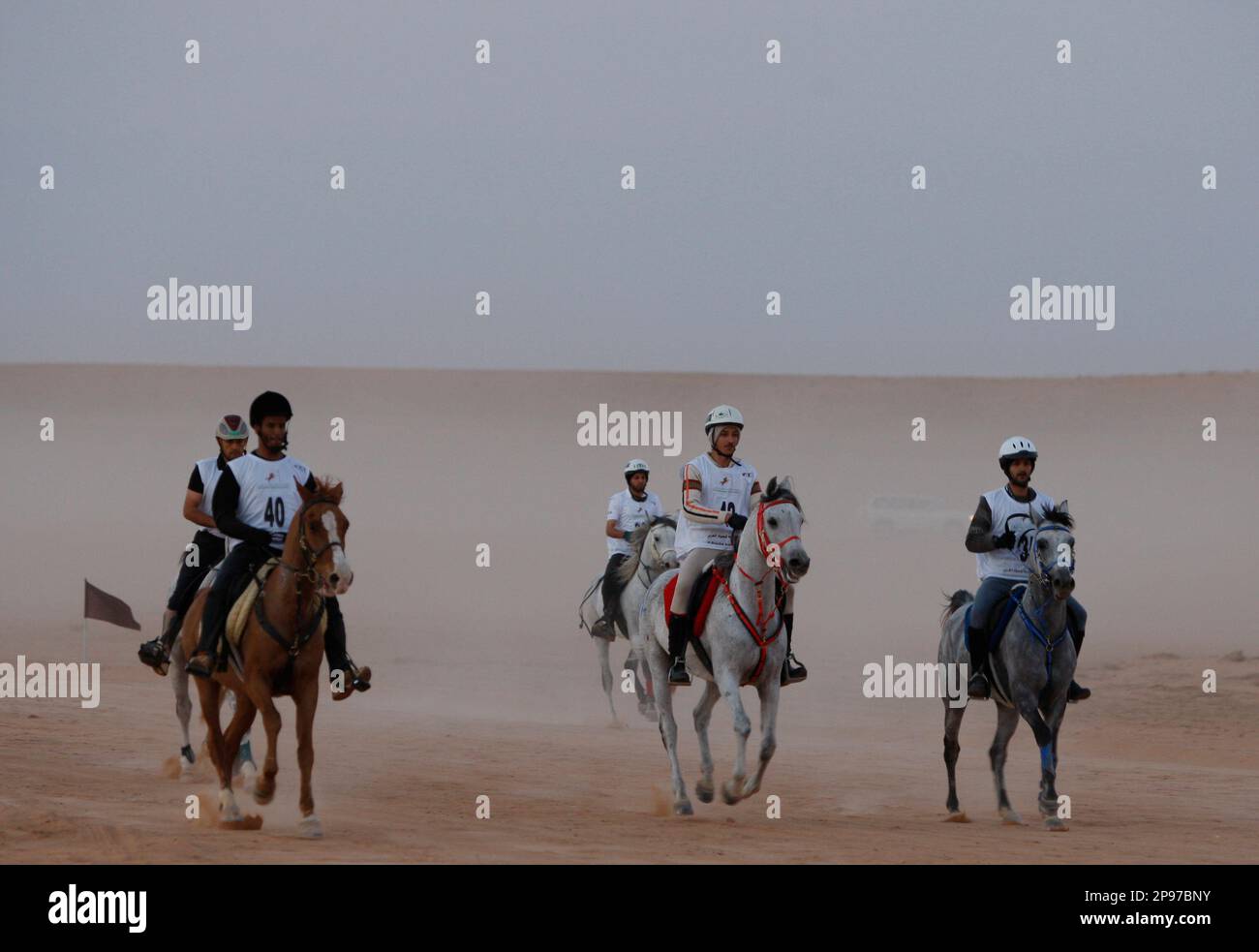 Jockeys compete with their horses in the Al-Khalediah Endurance Ride in Tebrak 110 km (69 mile) east the Saudi capital Riyadh, Saudi Arabia, Tuesday, Jan. 27, 2009. (AP Photo/Hassan Ammar) Banque D'Images