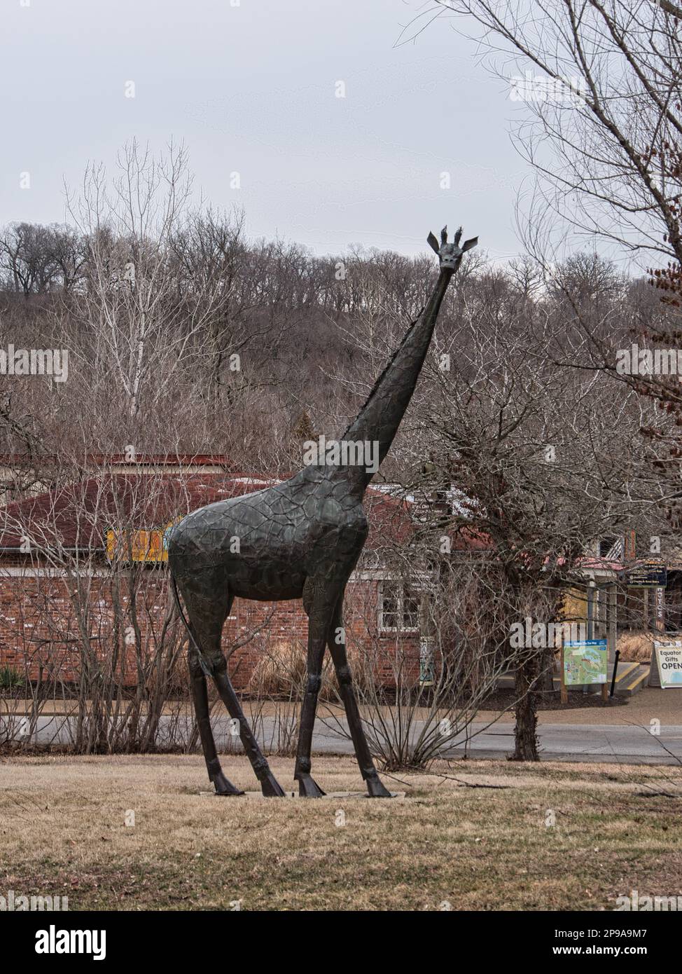 Kansas City, Missouri - 4 mars 2023 - statue de Giraffe dans la région du zoo de Kansas City en Afrique Banque D'Images