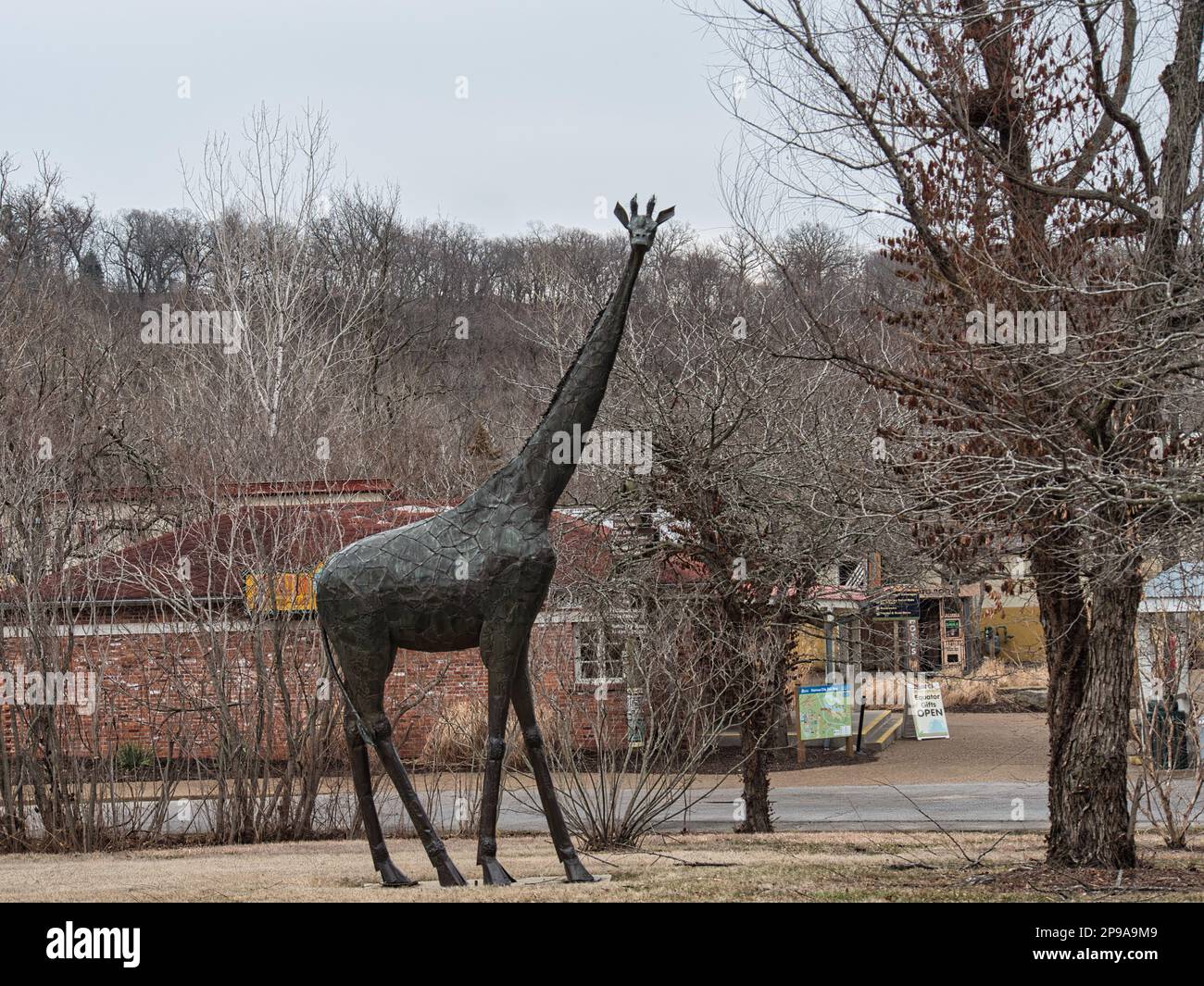 Kansas City, Missouri - 4 mars 2023 - statue de Giraffe dans la région du zoo de Kansas City en Afrique Banque D'Images