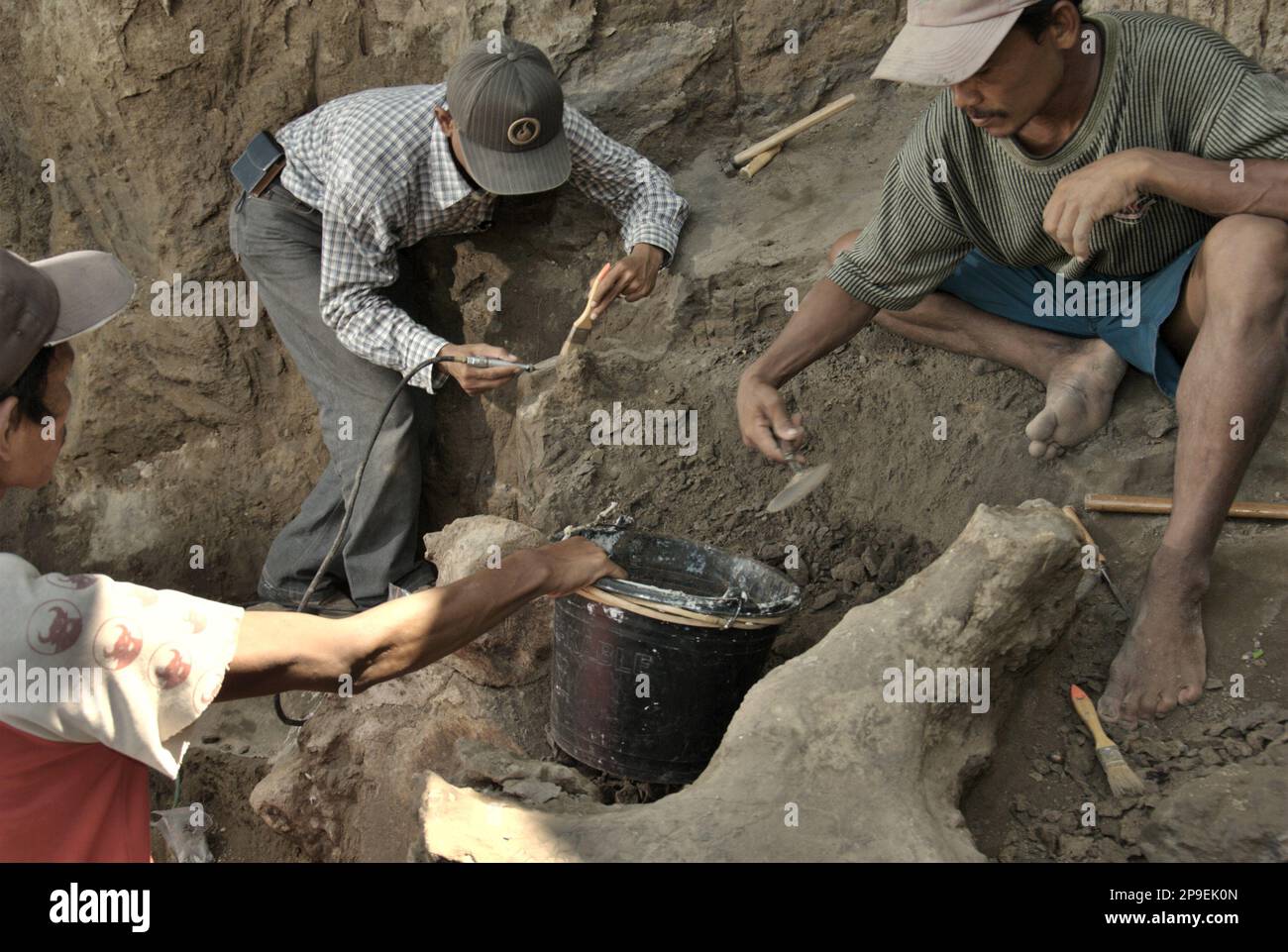 Le paléontologue Iwan Kurniawan (centré) travaille avec les villageois sur l'excavation des os fossilisés d'une espèce d'éléphant éteinte scientifiquement identifiée comme Elephas hysudrindicus, ou populairement appelé 'Blora Elephant', à Sunggun, Mendalem, Kradenan, Blora, Central Java, Indonésie. L'équipe de scientifiques de la recherche sur les vertébrés (Agence géologique, Ministère indonésien de l'énergie et des ressources minérales), dirigée par Kurniawan lui-même avec Fachroel Aziz, a découvert les os de l'espèce presque entièrement (environ 90 pour cent complets) qui plus tard leur permettrait de construire une reconstruction scientifique,... Banque D'Images