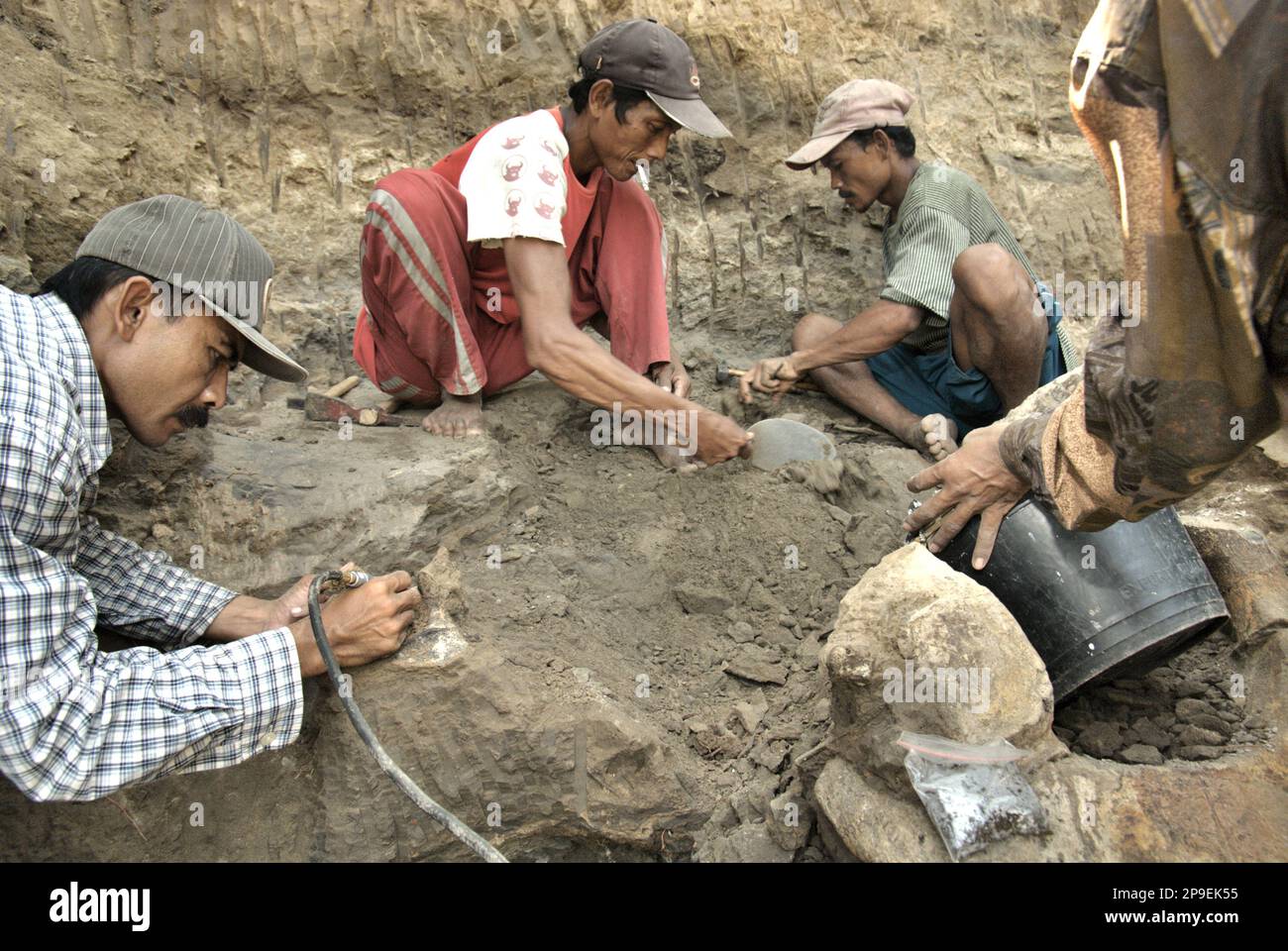 Le paléontologue Iwan Kurniawan (à gauche) travaille avec les villageois sur l'excavation d'os fossilisés d'une espèce d'éléphant éteinte scientifiquement identifiée comme Elephas hysudrindicus, ou populairement appelé 'Blora Elephant', à Sunggun, Mendalem, Kradenan, Blora, Central Java, Indonésie. L'équipe de scientifiques de la recherche sur les vertébrés (Agence géologique, Ministère indonésien de l'énergie et des ressources minérales), dirigée par Kurniawan lui-même avec Fachroel Aziz, a découvert les os de l'espèce presque entièrement (environ 90 pour cent complets) qui plus tard leur permettrait de construire une reconstruction scientifique,... Banque D'Images