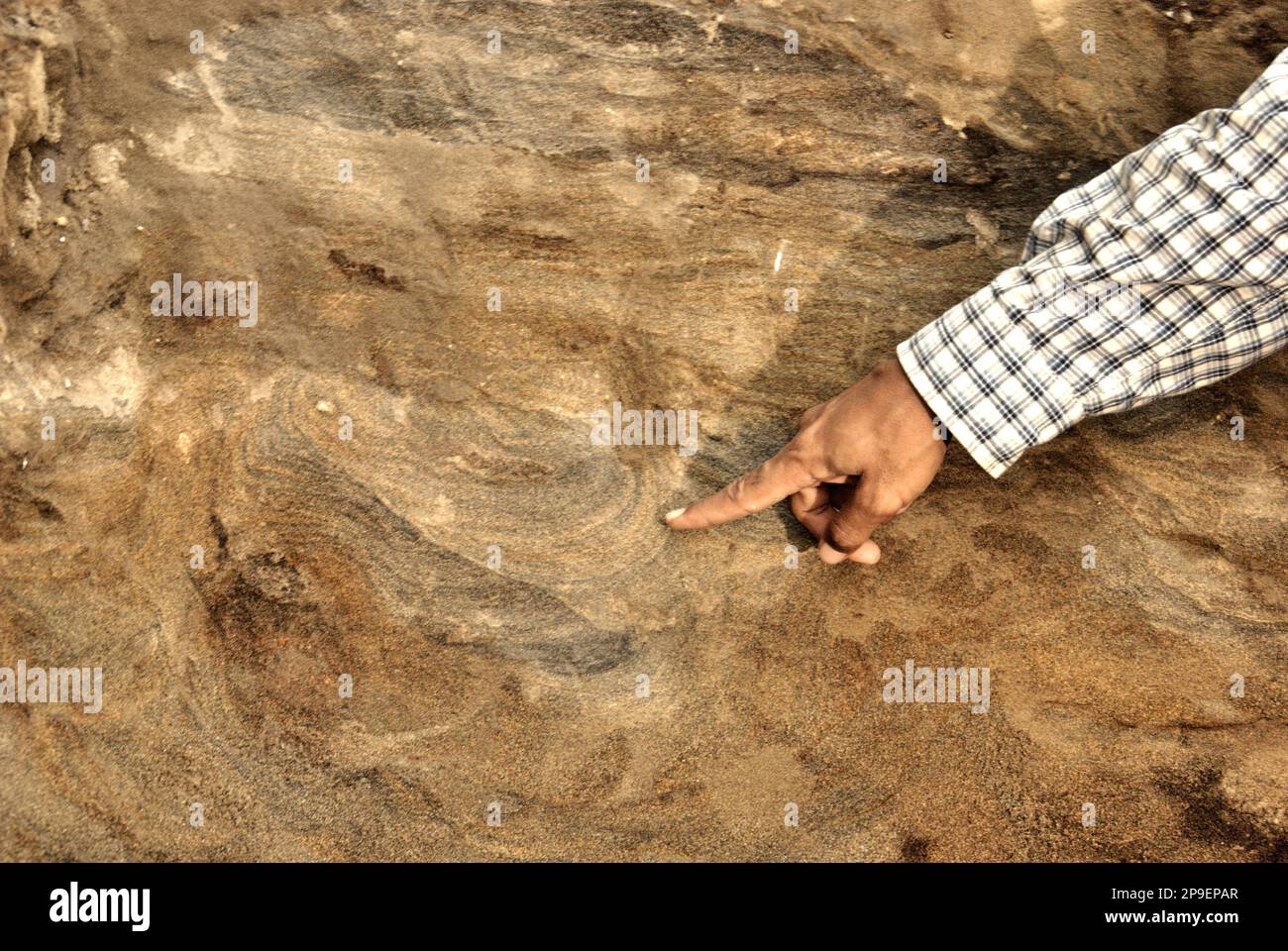 Le paléontologue Iwan Kurniawan souligne une marque sur les couches de sol en expliquant un processus géologique lors de l'excavation des os fossilisés d'Elephas hysudrindicus, une espèce d'éléphant éteinte vécue pendant l'époque du Pléistocène, plus tard connue sous le nom d'éléphant de Blora Comme son équipe travaille en arrière-plan sur le site d'excavation de Sunggun, Mendalem, Kradenan, Blora, Central Java, Indonésie. L'équipe de recherche sur les vertébrés (Agence géologique, Ministère indonésien de l'énergie et des ressources minérales) dirigée par Kurniawan lui-même avec Fachroel Aziz a découvert les os de l'espèce presque... Banque D'Images