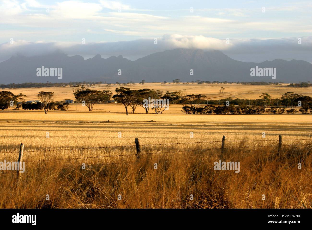 Stirling ranges Banque de photographies et d’images à haute résolution ...