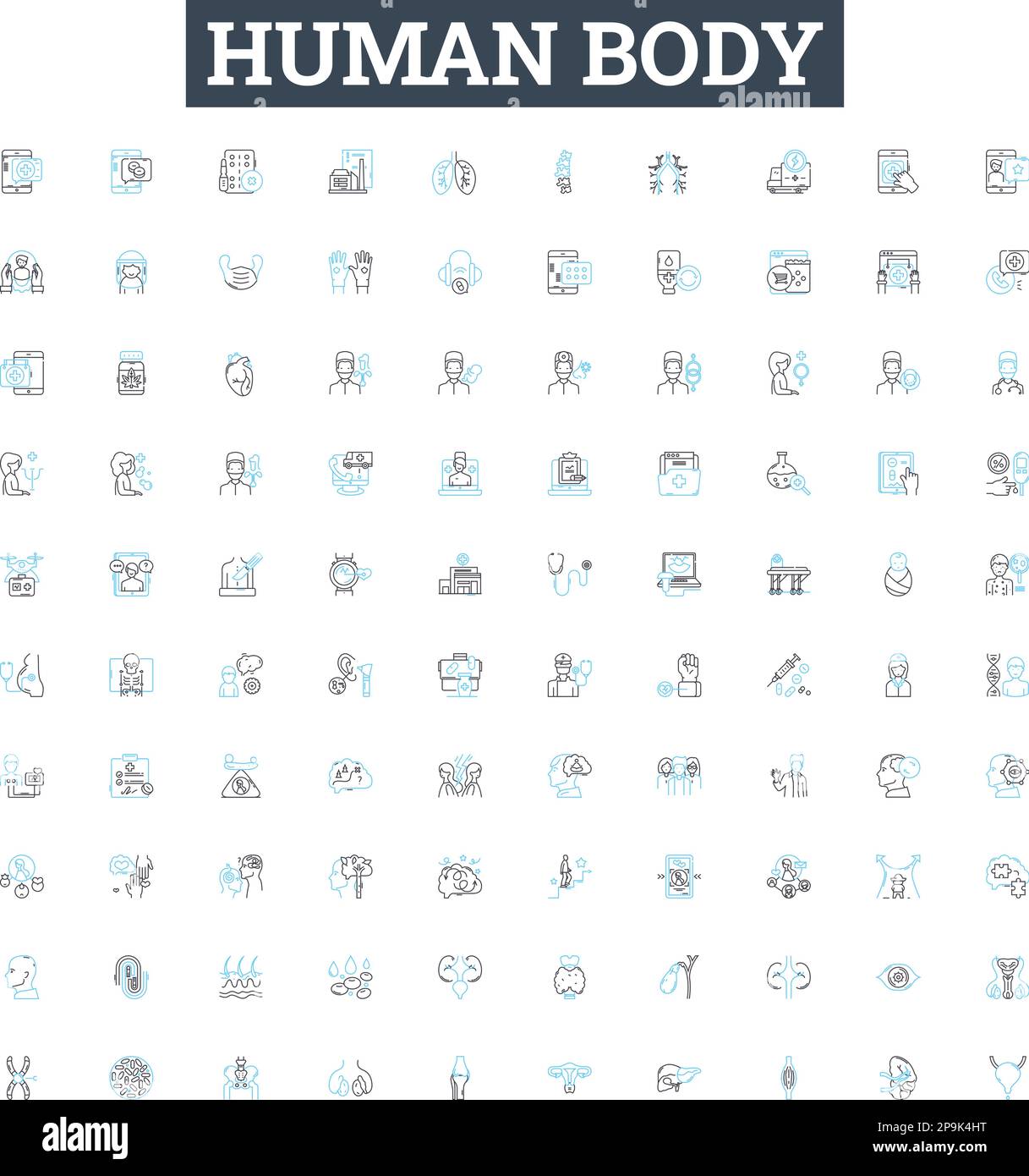 Jeu d'icônes de lignes vectorielles du corps humain. Anatomie, physiologie, squelette, organe, muscle, Cellule, illustration du thorax, contour des symboles et des signes de concept Illustration de Vecteur