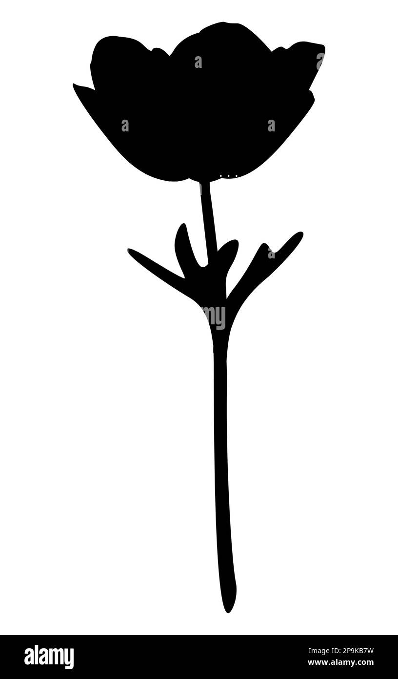 Silhouette de fleur de pavot, illustration vectorielle du pavot pour l'impression et les dessins Illustration de Vecteur