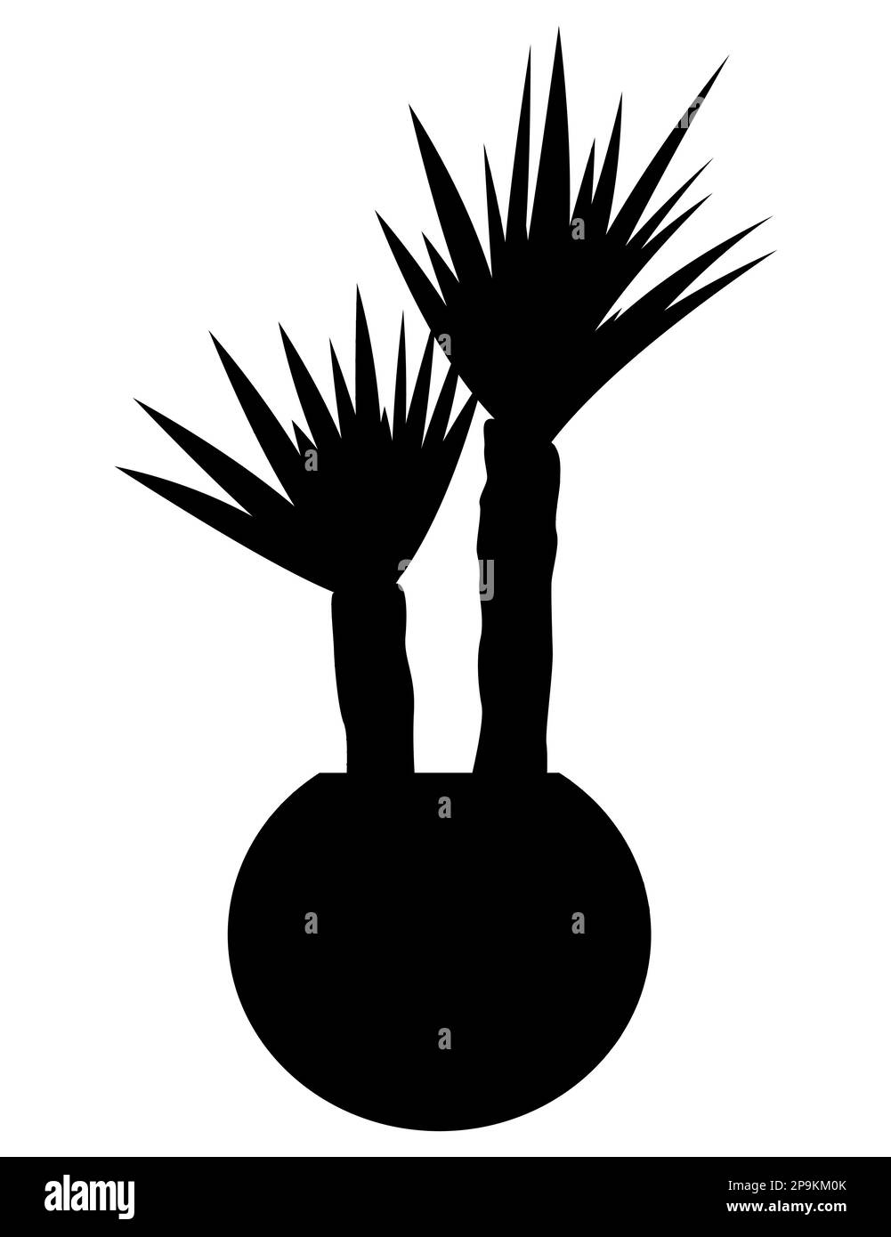 Silhouette noire d'une plante yucca dans un vase ou un pot isolé sur fond blanc Illustration de Vecteur