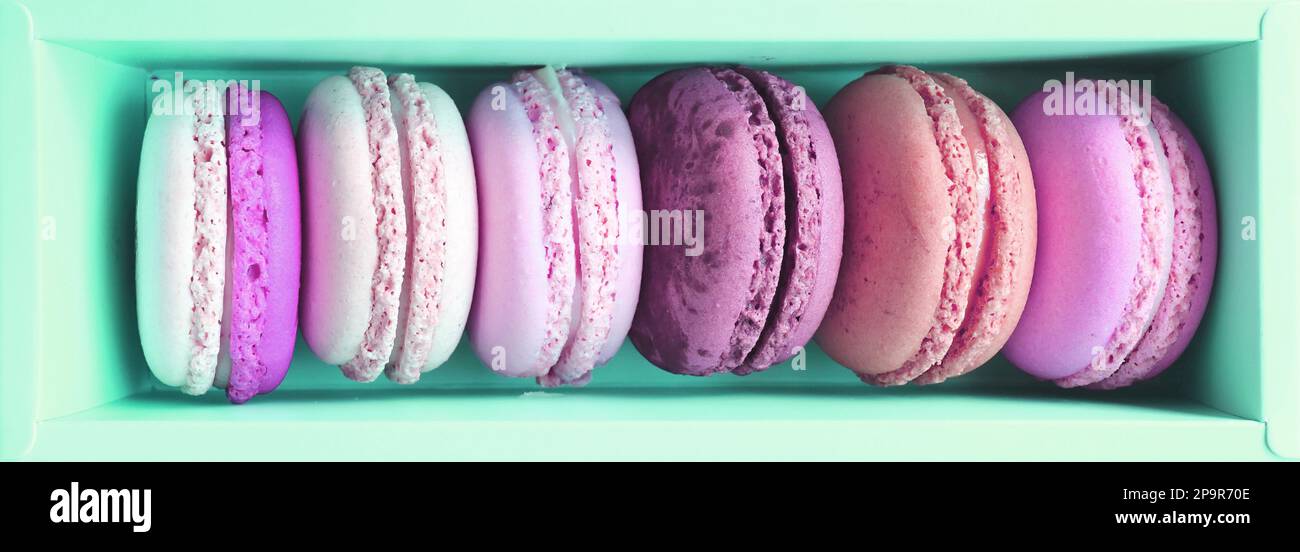 Vue de dessus des pâtisseries Macaron aux fruits rouges pastel et roses dans une boîte vert menthe Banque D'Images