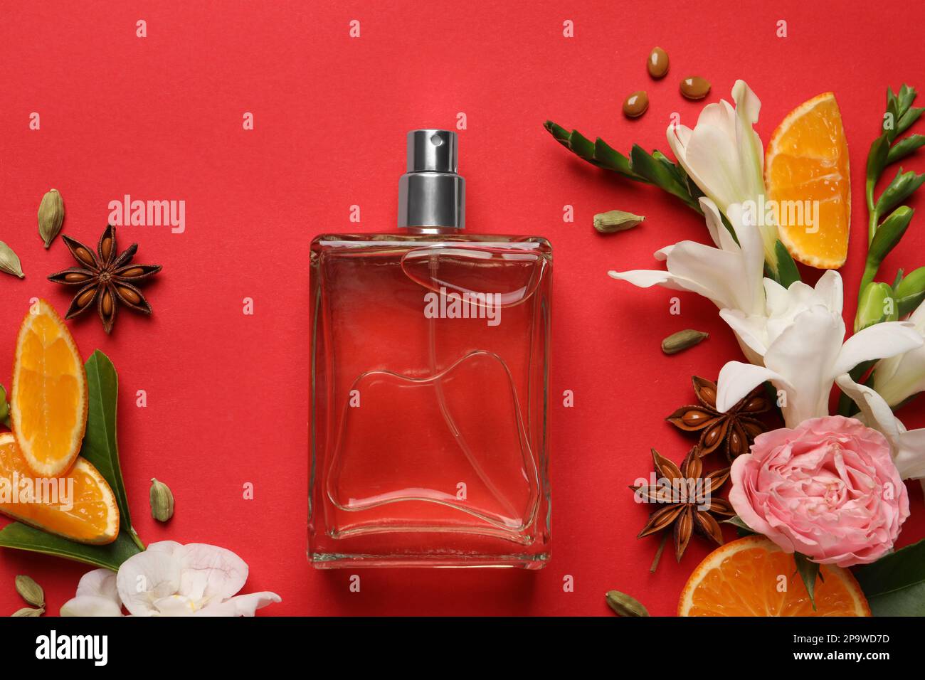 Composition de la couche plate avec bouteille de parfum et agrumes frais  sur fond rouge Photo Stock - Alamy