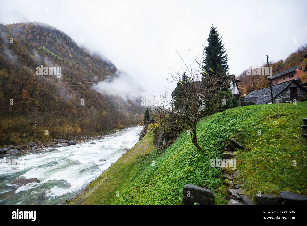 Maisons traditionnelles le long des rapides dans le Val Verzasca, Suisse, jour d'automne nuageux avec la brume pendante faible parmi les arbres colorés sur les pentes de montagne. Banque D'Images