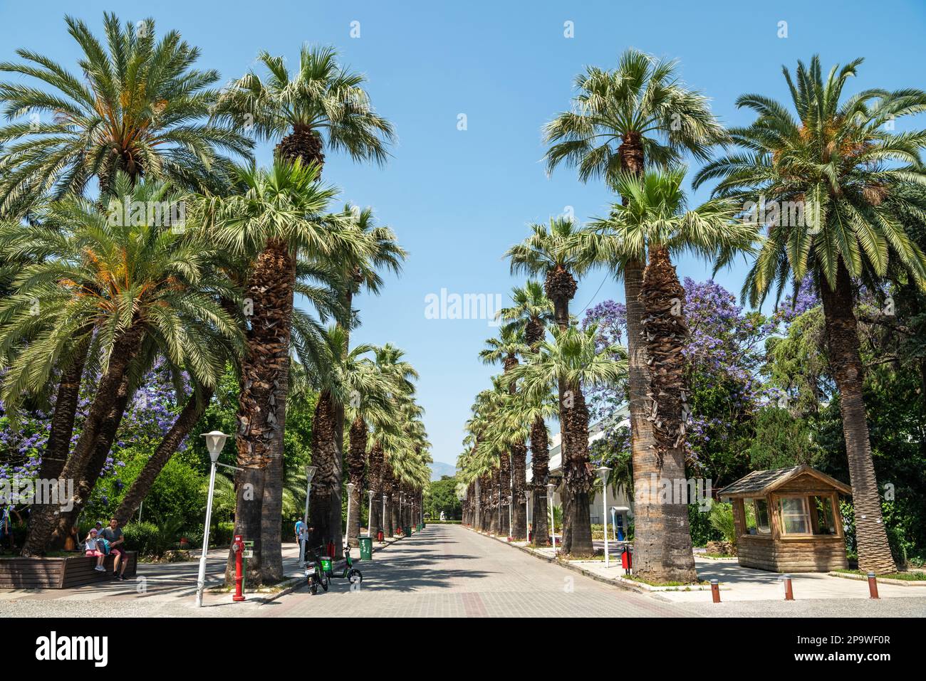 Izmir, Turquie – 5 juin 2022. Chemin bordé de palmiers à travers le parc public Kultur Parki dans le quartier de Konak à Izmir, Turquie. Afficher avec les personnes Banque D'Images