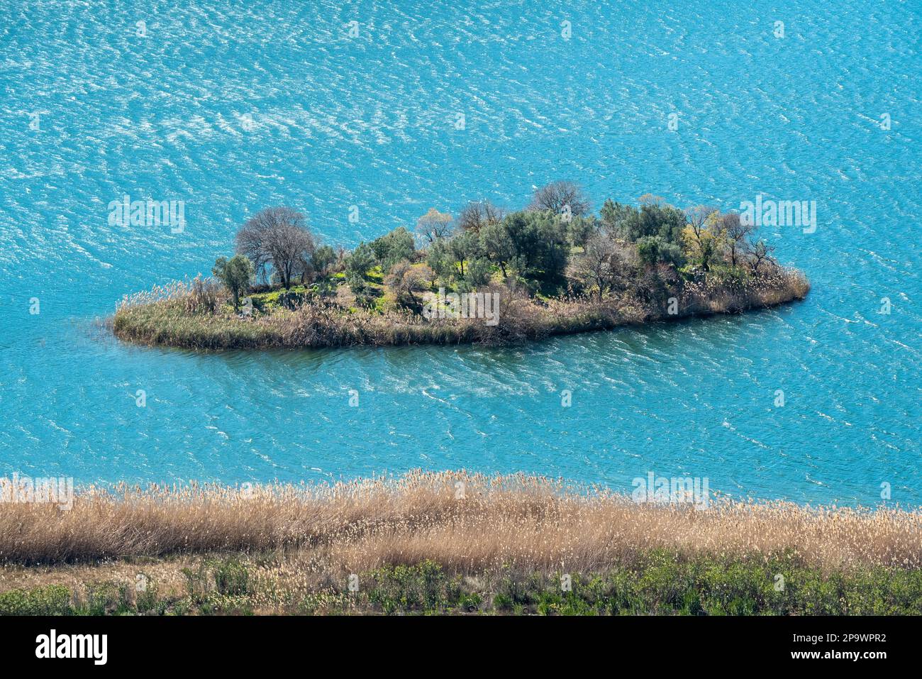 Une petite île, le site des ruines antiques de Lissai, sur le lac Kocagol près de la ville de Dalaman dans la province de Mugla en Turquie. Banque D'Images