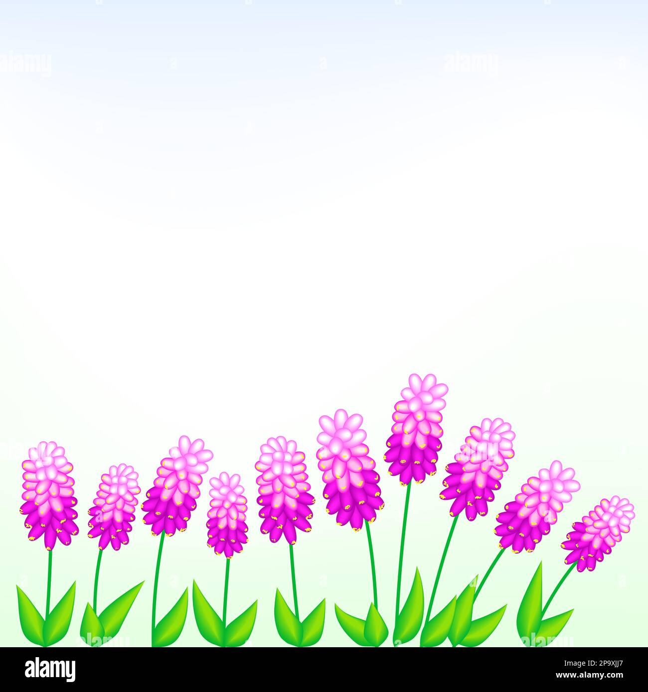 Fleurs roses isolées sur l'illustration vectorielle blanche Illustration de Vecteur