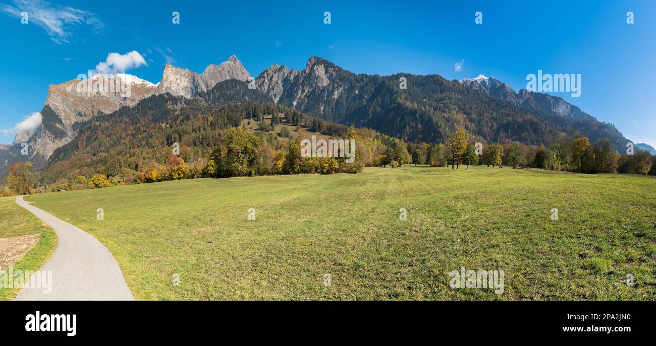 Paysage de montagne d'automne dans les Alpes suisses près de Maienfeld avec arbres de couleur d'automne et forêt et sommets enneigés de montagne avec une route de gravier et un pré dedans Banque D'Images