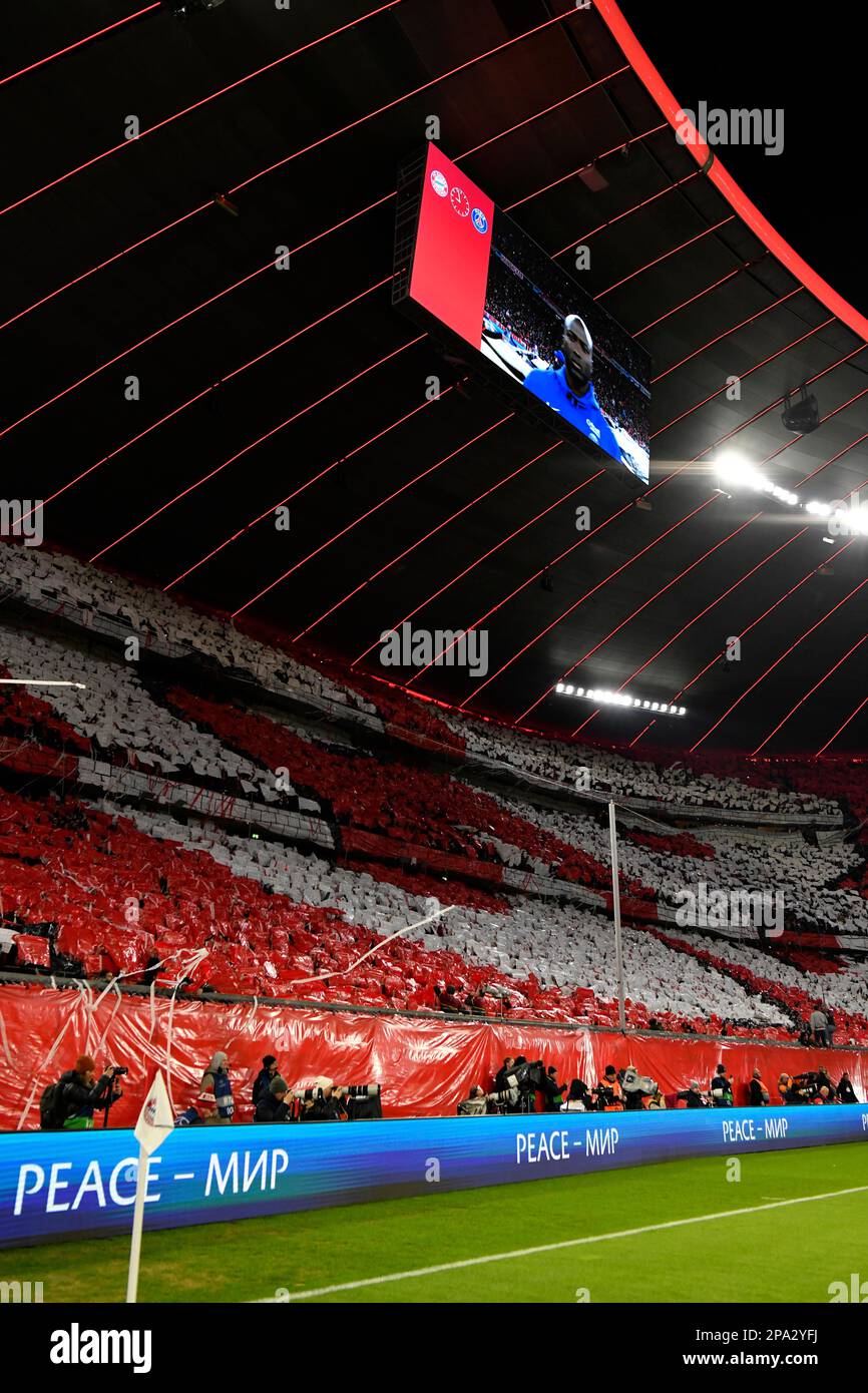 Chorégraphie dans le bloc ventilateur de la courbe sud, périmétrique publicité avec déclaration contre la guerre d'agression Russie contre l'Ukraine, paix, CL Banque D'Images