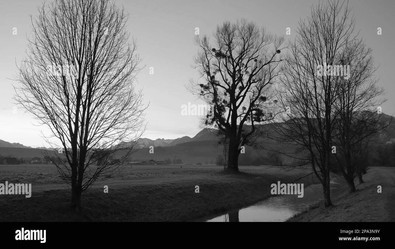 Grands arbres avec de longues branches sans feuilles et échelle penchée à côté d'une rivière en paysage d'hiver, dans les maisons de fond et les montagnes en noir Banque D'Images