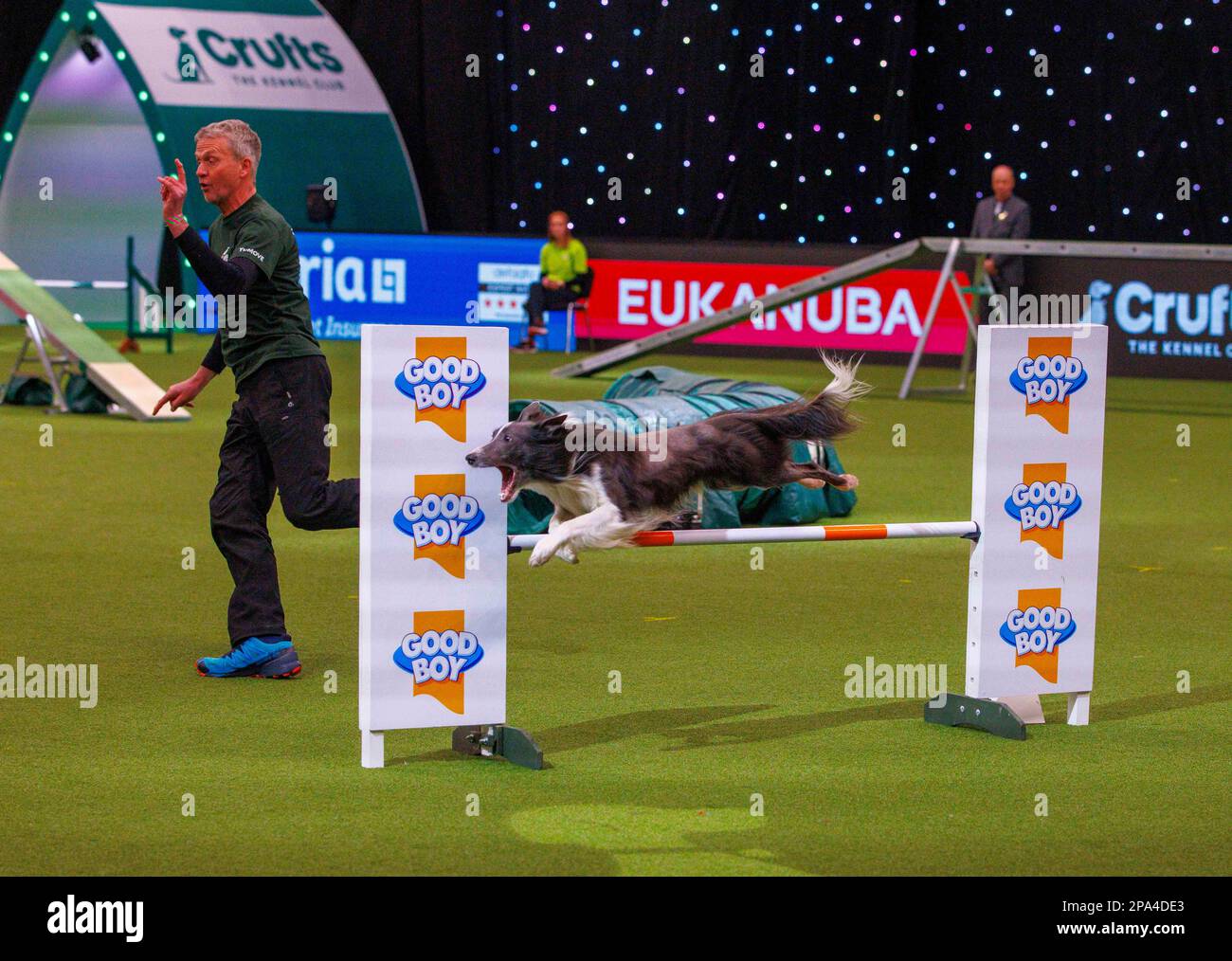 Birmingham, Royaume-Uni. 11th mars 2023. Catégorie agilité jour 3 du Crufts International Dog Show. C'est le plus grand salon canin du monde, à partir de 1891. Crufts Dog Show Credit: Mark Thomas/Alamy Live News Banque D'Images